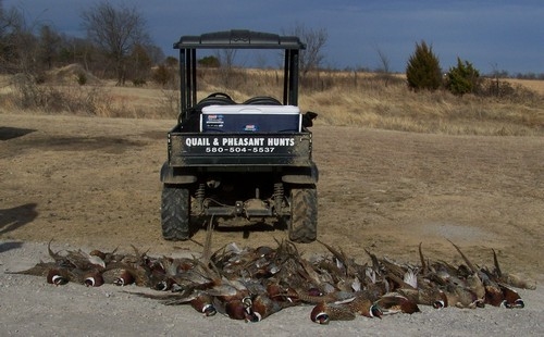 Photo of European Hunt